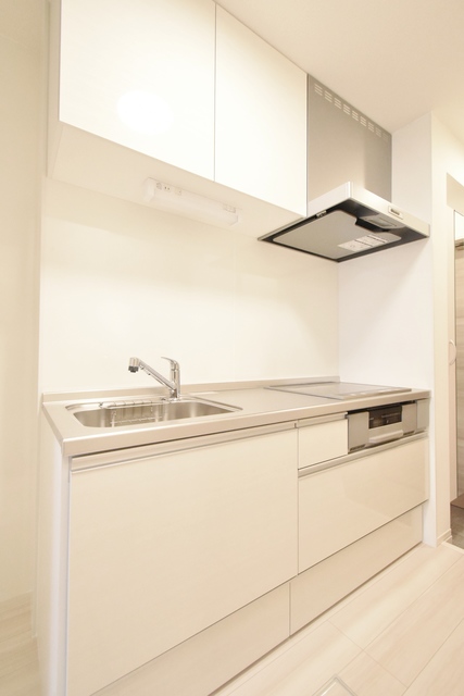 ��ʌ��������܎s�������a�c���Q���ڂ̃A�p�[�g�̃L�b�`��