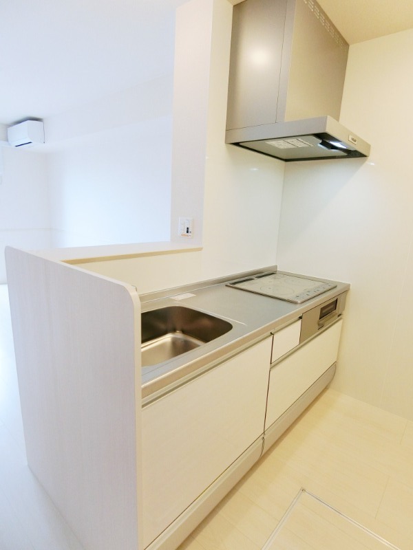 ��ʌ��������܎s������t���Q���ڂ̃A�p�[�g�̃L�b�`��