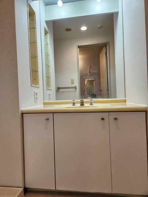 ��ʌ��z�J�s���������̃}���V�����̐��ʏ�