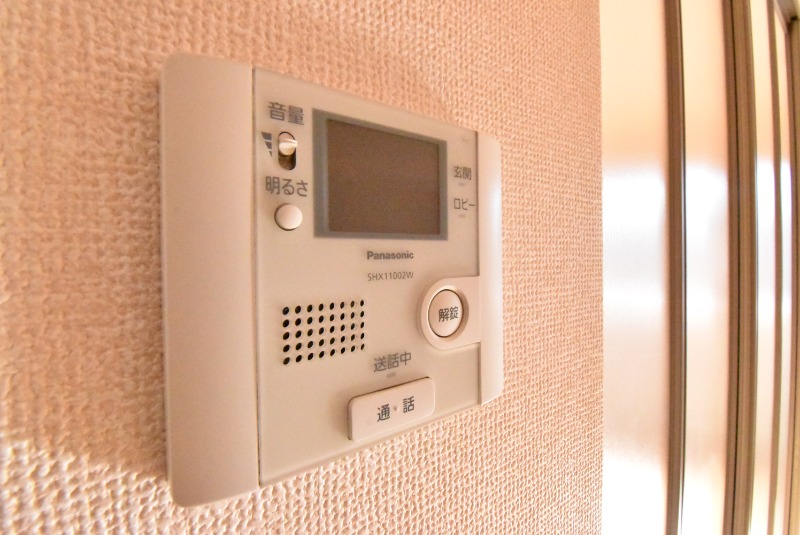 ��ʌ��z�J�s���C�N�^�E���U���ڂ̃A�p�[�g�̂��̑�