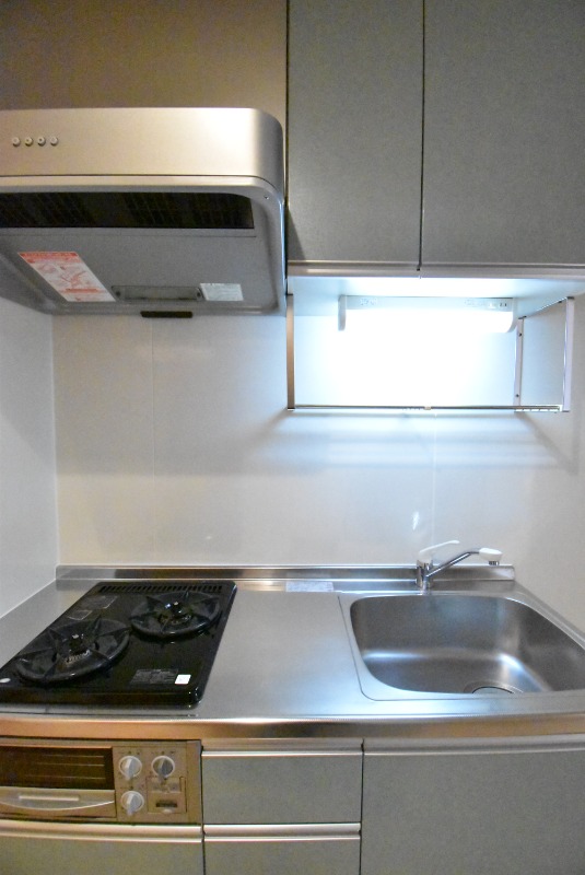 ��ʌ��z�J�s���C�N�^�E���Q���ڂ̃A�p�[�g�̃L�b�`��