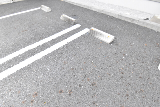 ��ʌ��������܎s�΋�厚�����̃A�p�[�g�̒��ԏ�