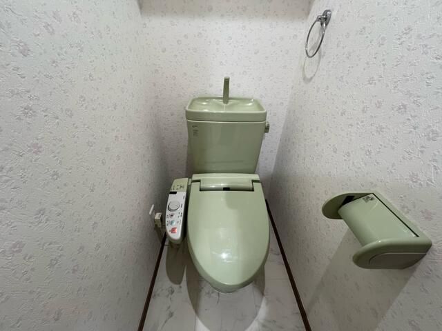 ��ʌ������s���h�P���ڂ̃}���V�����̃g�C��