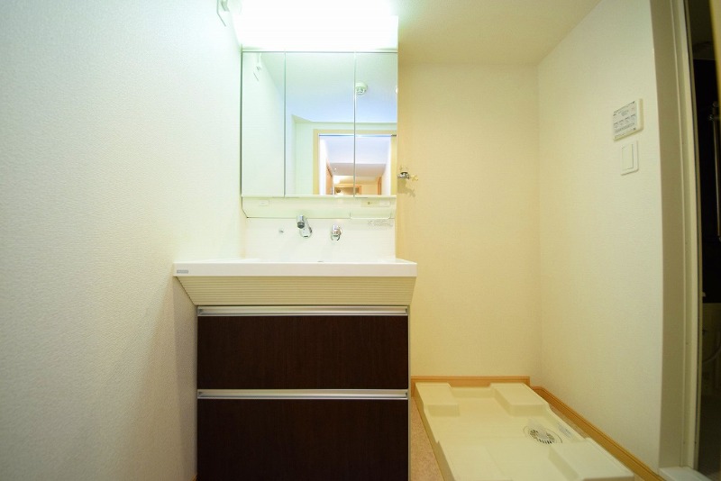 ��ʌ�����s�厚������̃}���V�����̐��ʏ�