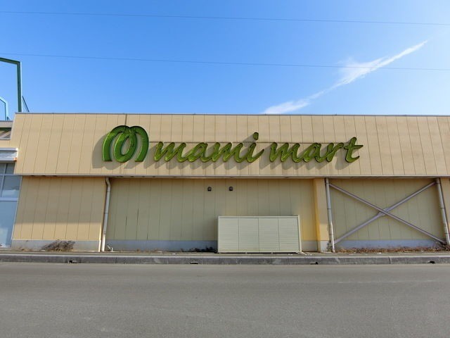 ��ʌ������s��ʖ�̃}���V�����̎���