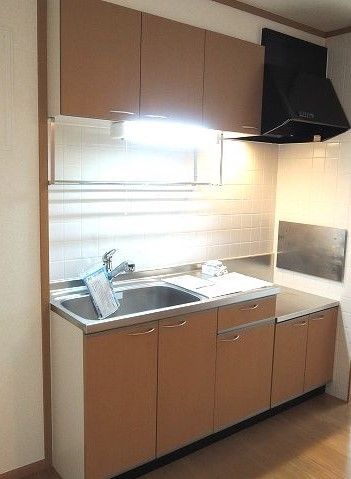 ��ʌ��k�����S�ɓޒ��厚�����̃A�p�[�g�̃L�b�`��