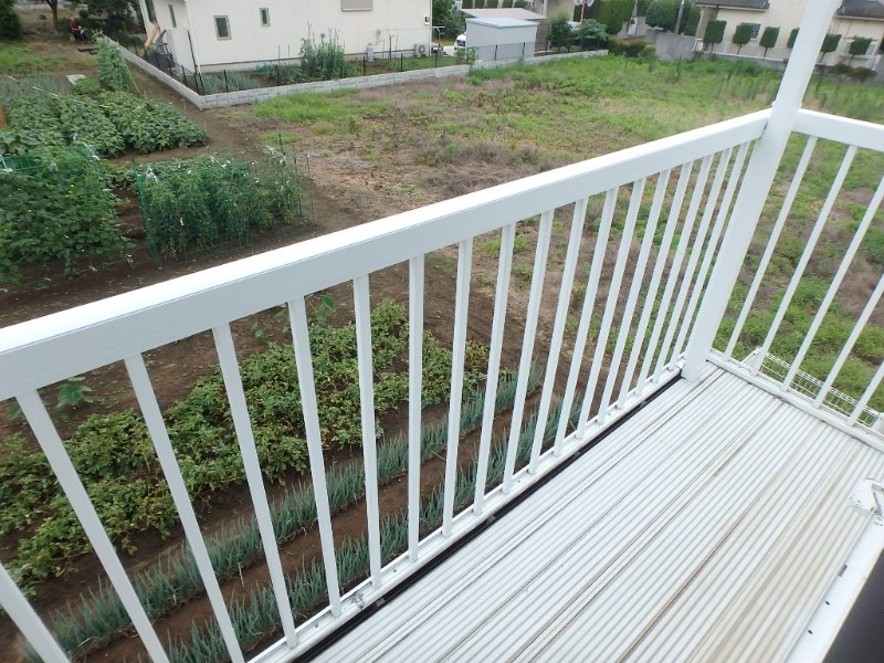 ��ʌ��������܎s������厚��J�̃A�p�[�g�̃o���R�j�[