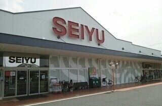 ��ʌ��z�J�s���������̃}���V�����̎���