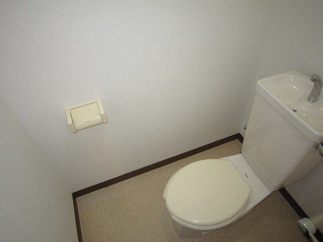 ��ʌ��@�c�s���V�h�S���ڂ̃}���V�����̃g�C��