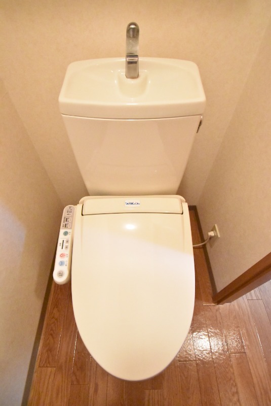 ��ʌ�����s�厚���s�g���̃}���V�����̃g�C��