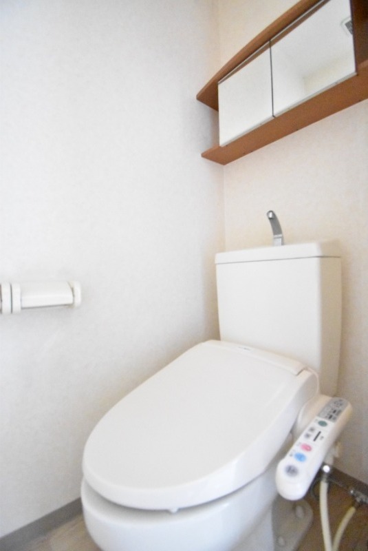 ��ʌ�����s�厚���s�g���̃}���V�����̃g�C��