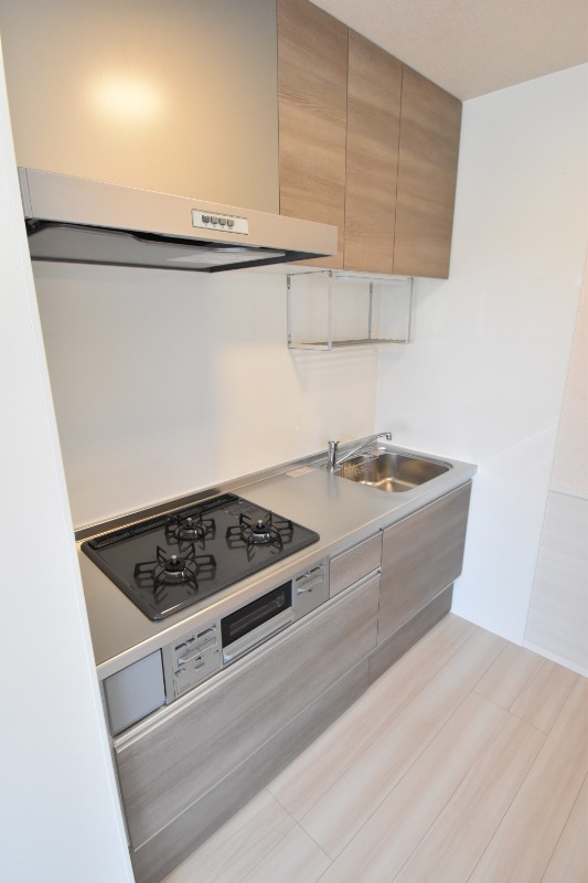 ��ʌ��������܎s����厚�w��̃A�p�[�g�̃L�b�`��