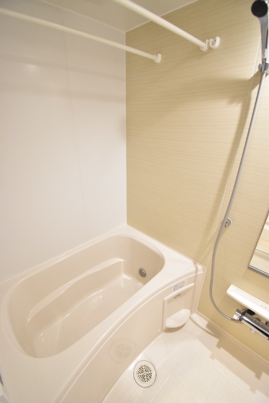 ��ʌ��z�J�s�厚���ԋv���̃}���V�����̃o�X