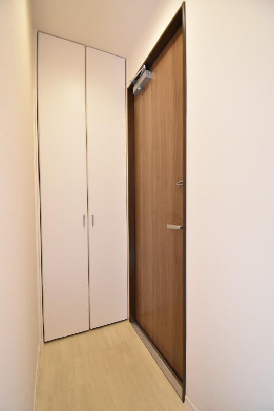 ��ʌ��z�J�s�厚���ԋv���̃}���V�����̌���