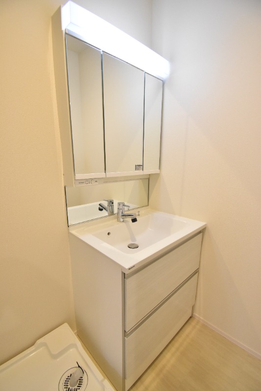 ��ʌ��z�J�s�厚���ԋv���̃}���V�����̐��ʏ�