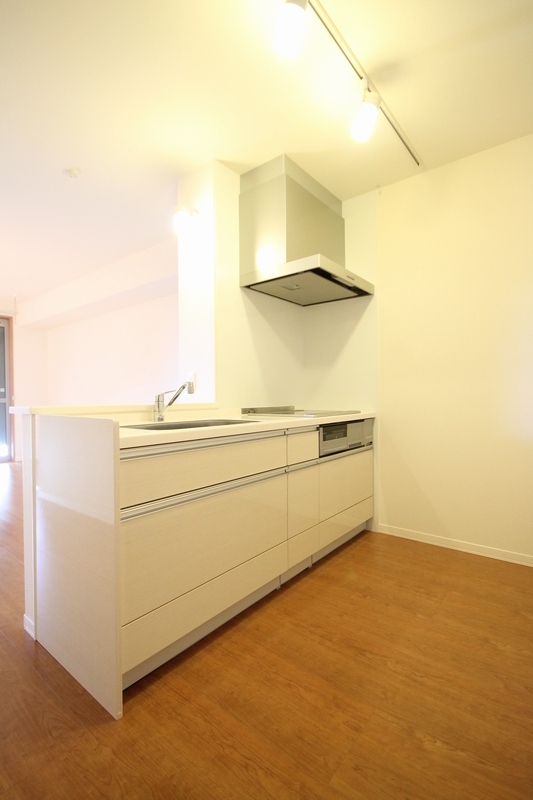 ��ʌ�����s�厚���s�̃A�p�[�g�̃L�b�`��