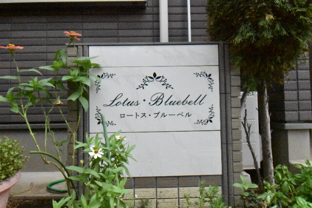 ��ʌ��@�c�s�@�c�S���ڂ̃A�p�[�g�̎���