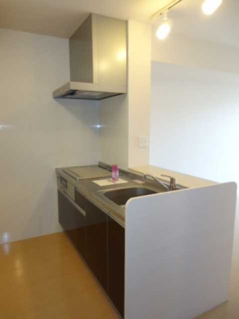 ��ʌ�����s�{���S���ڂ̃A�p�[�g�̃L�b�`��