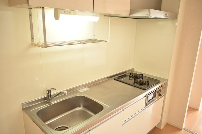 ��ʌ��������܎s������{�����Q���ڂ̃A�p�[�g�̃L�b�`��