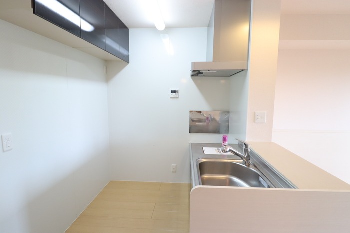 ��ʌ��k�����S�ɓޒ��厚�����̃A�p�[�g�̃L�b�`��