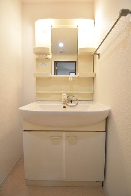 ��ʌ��������܎s�k��ޗǒ��̃}���V�����̐��ʏ�