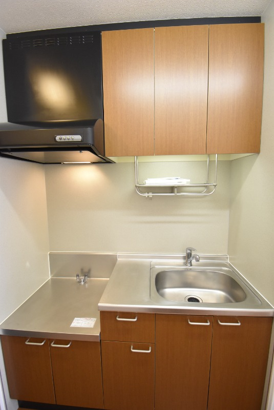 ��ʌ��������܎s�����扺�����S���ڂ̃A�p�[�g�̃L�b�`��