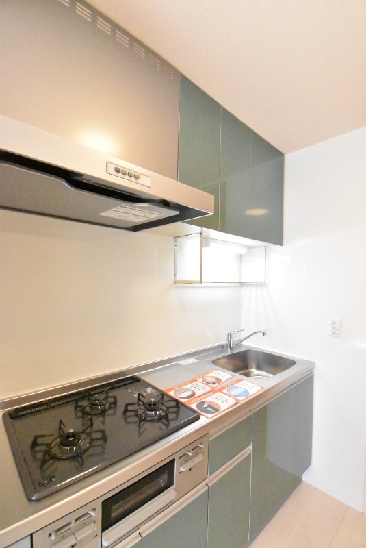 ��ʌ��z�J�s���C�N�^�E���X���ڂ̃A�p�[�g�̃L�b�`��