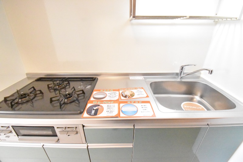 ��ʌ��z�J�s���C�N�^�E���X���ڂ̃A�p�[�g�̃L�b�`��