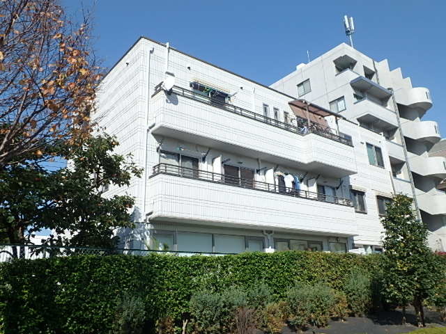 ��ʌ��������܎s��{��g�~���S���ڂ̃}���V�����̌����O��