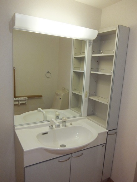 ��ʌ�����s�厚���s�̃}���V�����̐��ʏ�