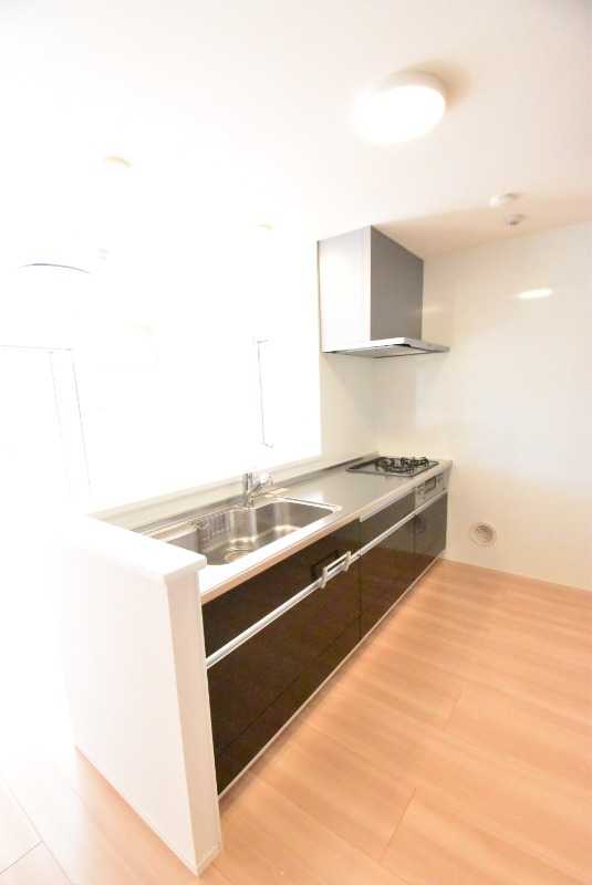 ��ʌ��z�J�s���C�N�^�E���X���ڂ̃A�p�[�g�̃L�b�`��