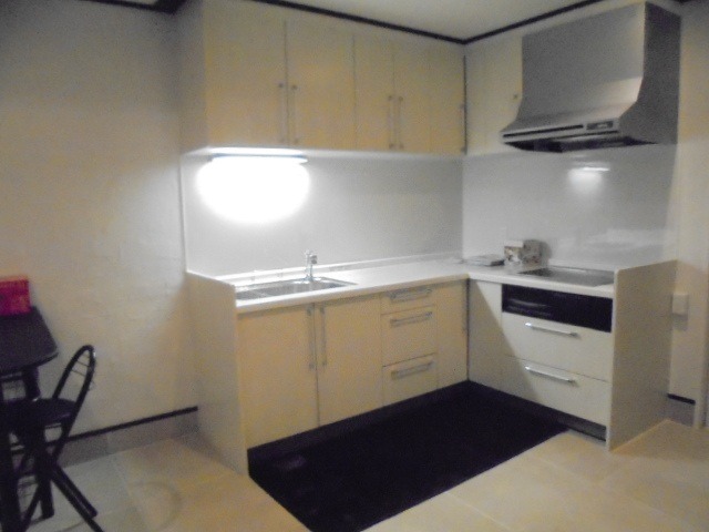 ��ʌ��������܎s����h�a�T���ڂ̃A�p�[�g�̃L�b�`��