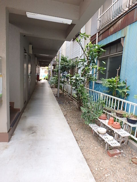 �����s�r���r��S���ڂ̃}���V�����̃G���g�����X