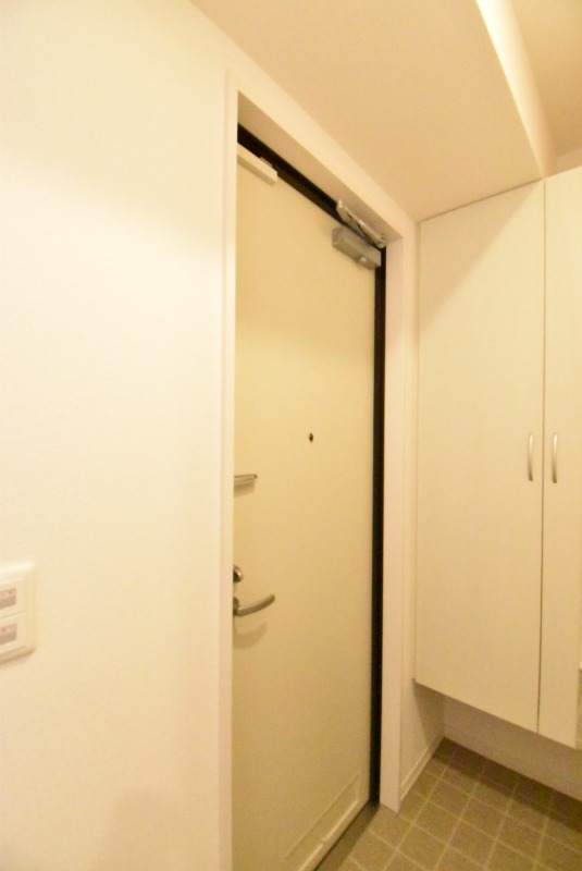 ��ʌ��z�J�s���C�N�^�E���U���ڂ̃A�p�[�g�̌���