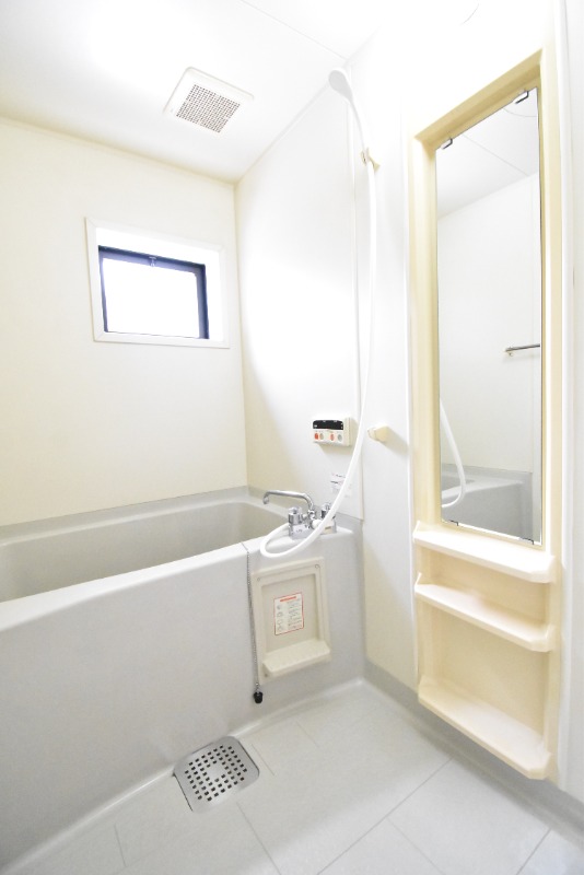 ��ʌ��������܎s��{�捂�@���P���ڂ̃A�p�[�g�̃o�X