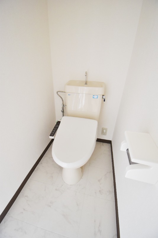 ��ʌ��������܎s������厚�쒆�ۂ̃}���V�����̃g�C��