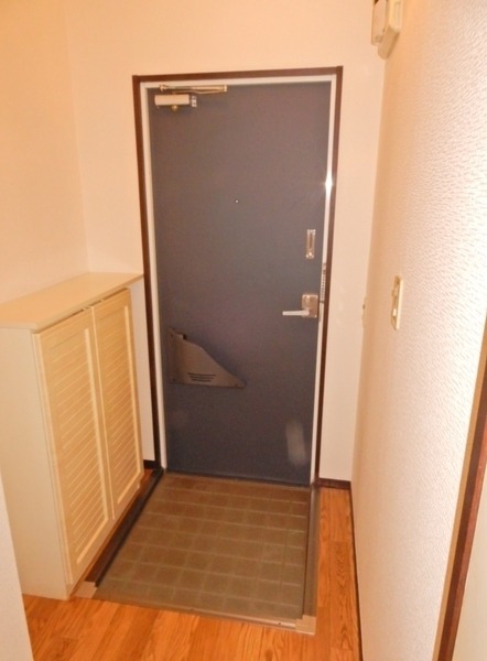 ��ʌ��������܎s��΋���q�P���ڂ̃}���V�����̌���