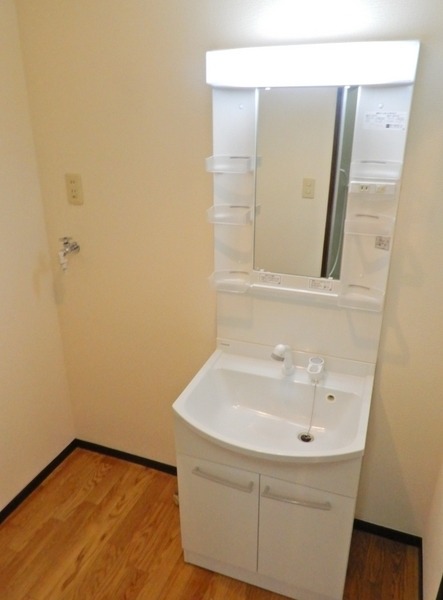 ��ʌ��������܎s��΋���q�P���ڂ̃}���V�����̐��ʏ�