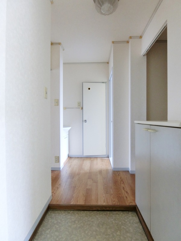 ��ʌ��������܎s��΋���q�P���ڂ̃}���V�����̌���