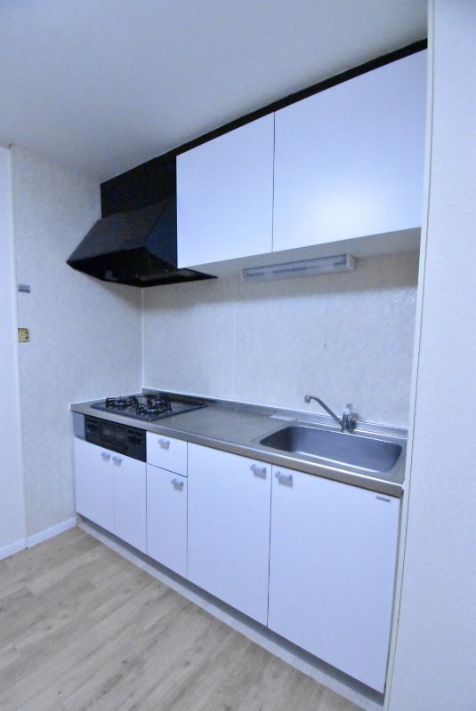 ��ʌ��������܎s�΋�厚��Ԗ؂̃A�p�[�g�̃L�b�`��