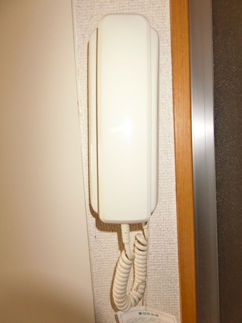 ��ʌ��������܎s�����擌��{�T���ڂ̃}���V�����̂��̑�