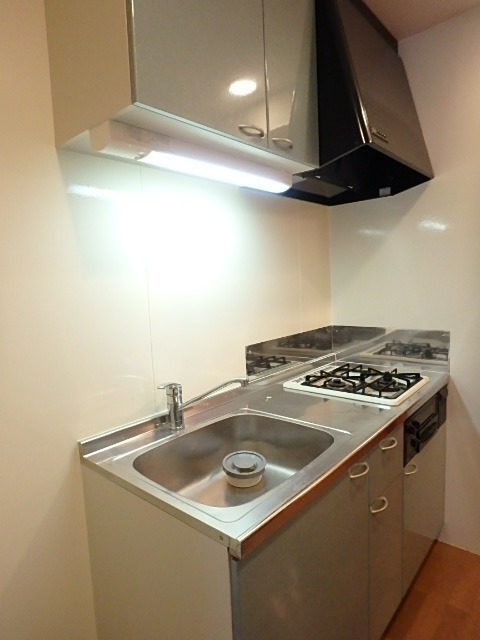 ��ʌ��������܎s�����扺�����U���ڂ̃A�p�[�g�̃L�b�`��