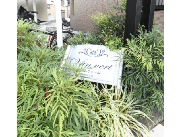 ��ʌ��@�c�s�������̃}���V�����̎���