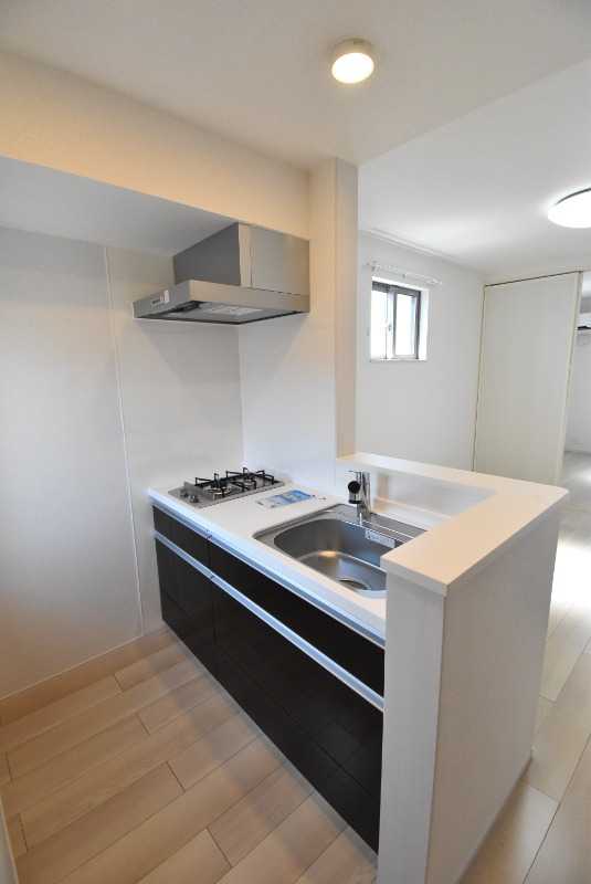 ��ʌ��������܎s����쌳�h�P���ڂ̃A�p�[�g�̃L�b�`��