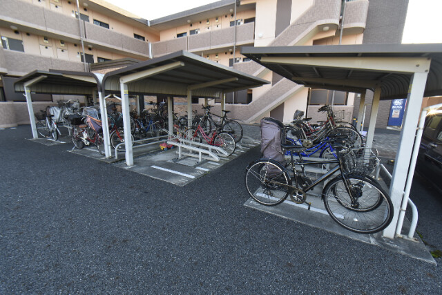 ��ʌ��@�c�s�厚���l�̃}���V�����̂��̑�