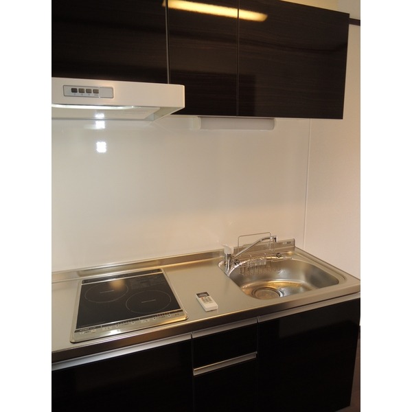 ��ʌ��������܎s�Y�a�挳���Q���ڂ̃A�p�[�g�̃L�b�`��