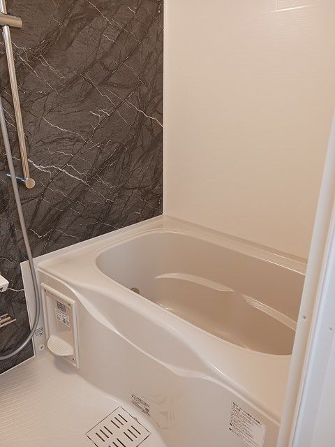 ��ʌ��������܎s�����擌��{�P���ڂ̃A�p�[�g�̃o�X