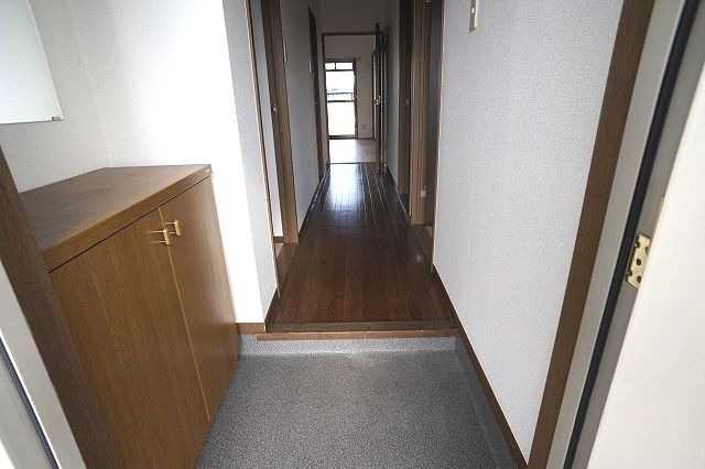 ��ʌ�����s�厚���~�J�̃}���V�����̌���