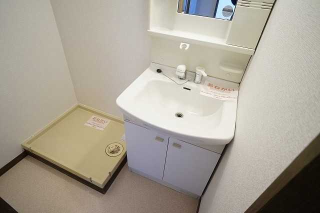 ��ʌ�����s�厚���~�J�̃}���V�����̐��ʏ�