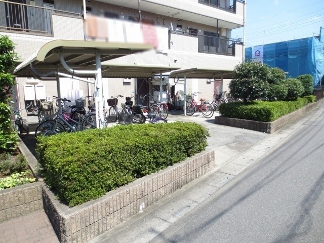 ��ʌ�����s�厚���~�J�̃}���V�����̂��̑�